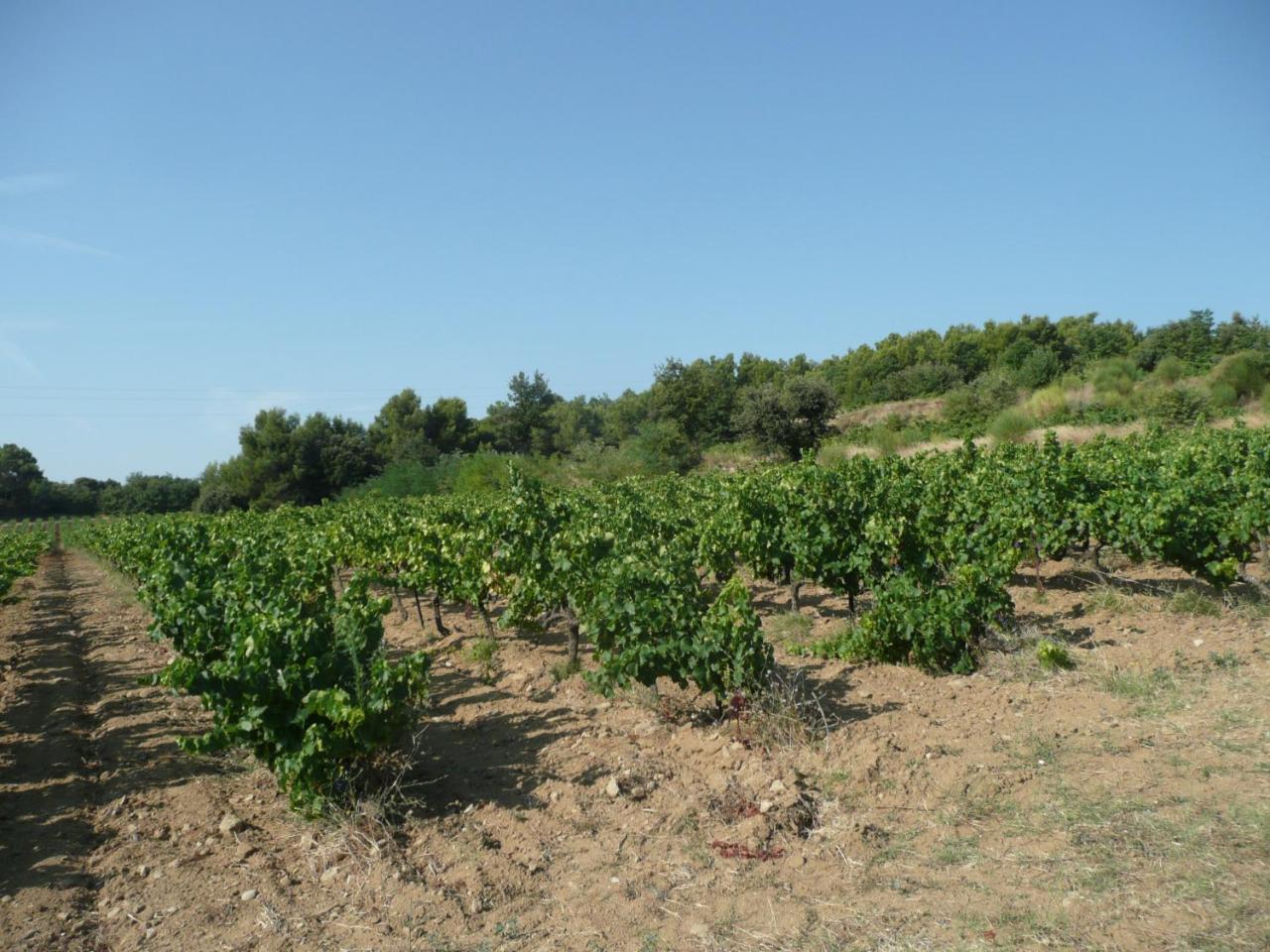 Gite Du Serre De Boudre Climatise, Spa Permanent Buisson Exteriér fotografie